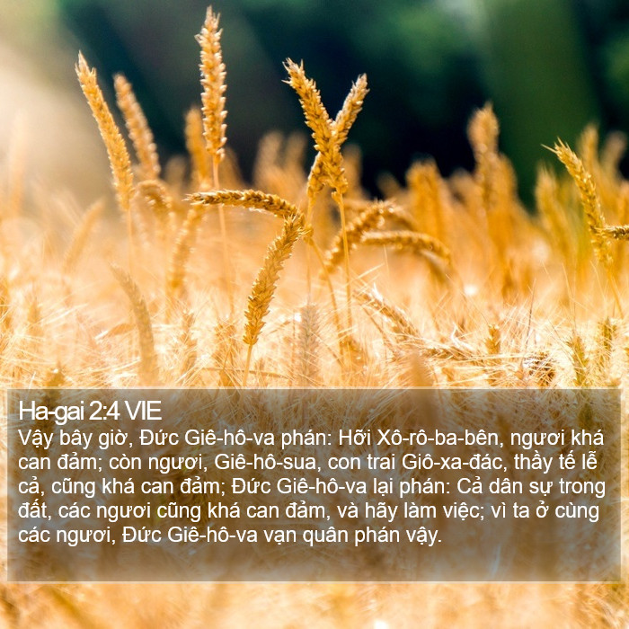 Ha-gai 2:4 VIE Bible Study