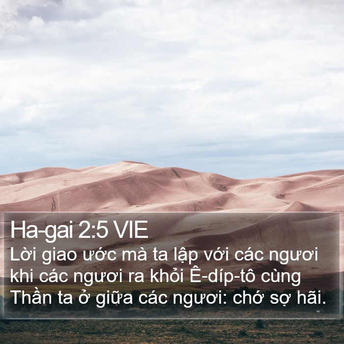Ha-gai 2:5 VIE Bible Study