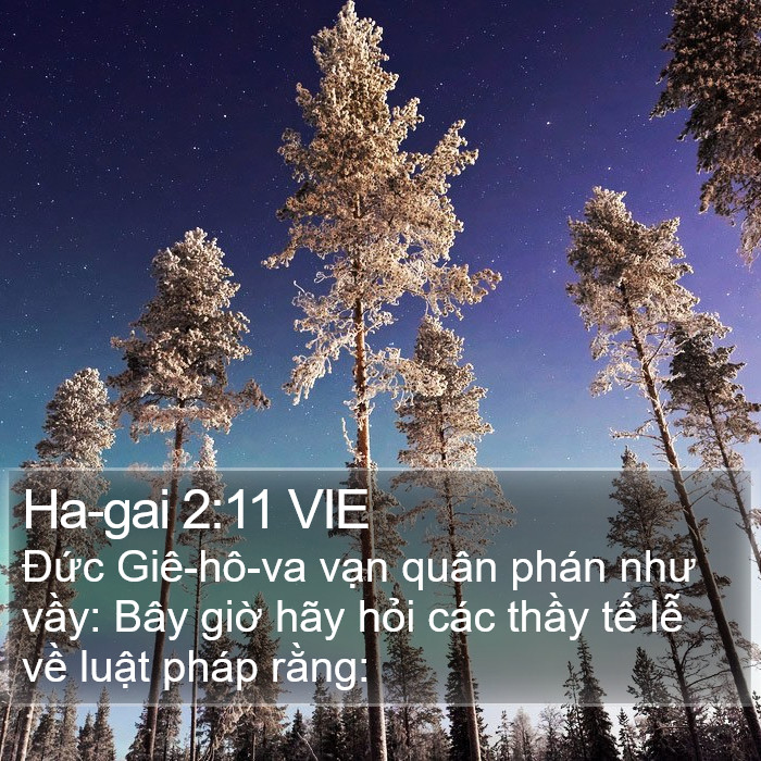 Ha-gai 2:11 VIE Bible Study