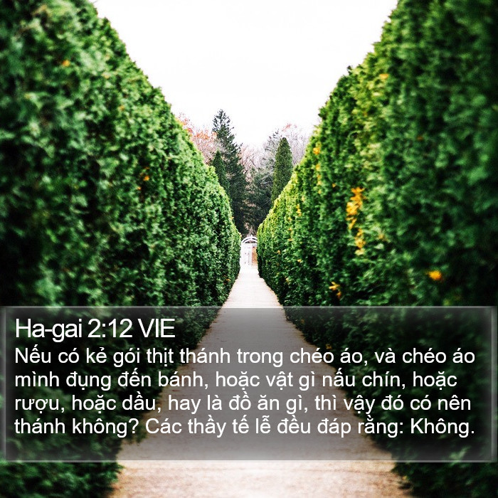 Ha-gai 2:12 VIE Bible Study