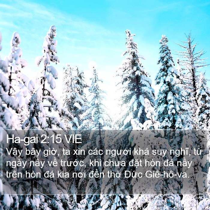 Ha-gai 2:15 VIE Bible Study