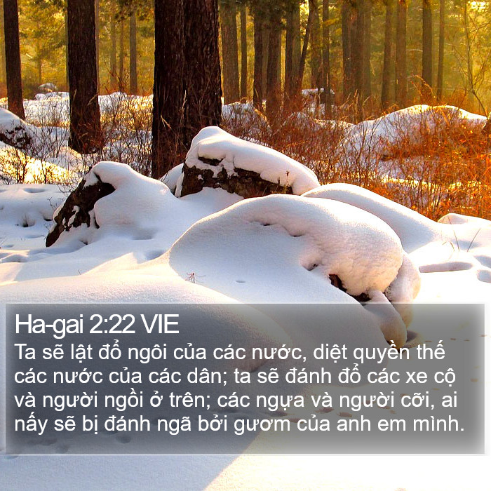 Ha-gai 2:22 VIE Bible Study