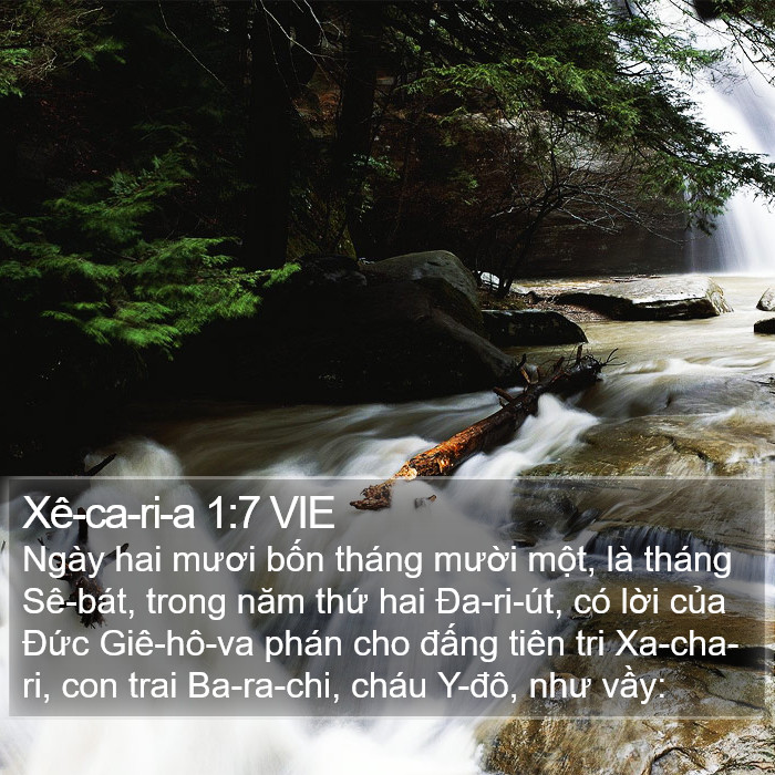 Xê-ca-ri-a 1:7 VIE Bible Study