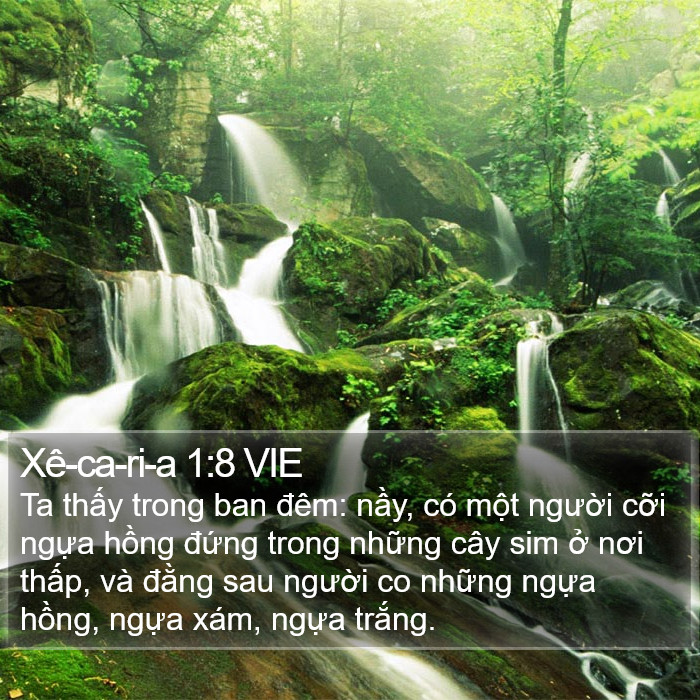 Xê-ca-ri-a 1:8 VIE Bible Study