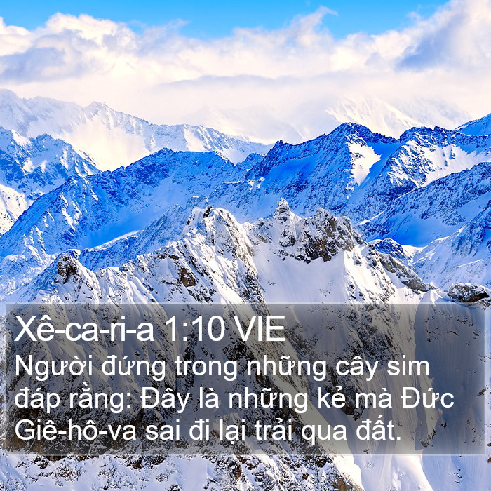 Xê-ca-ri-a 1:10 VIE Bible Study