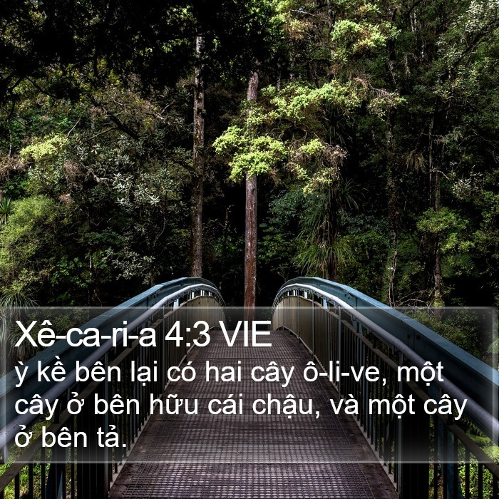 Xê-ca-ri-a 4:3 VIE Bible Study