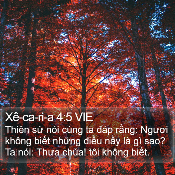 Xê-ca-ri-a 4:5 VIE Bible Study