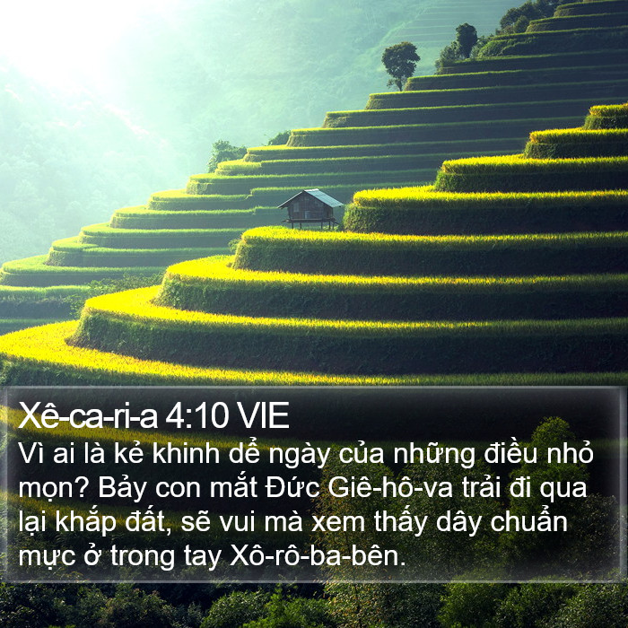 Xê-ca-ri-a 4:10 VIE Bible Study