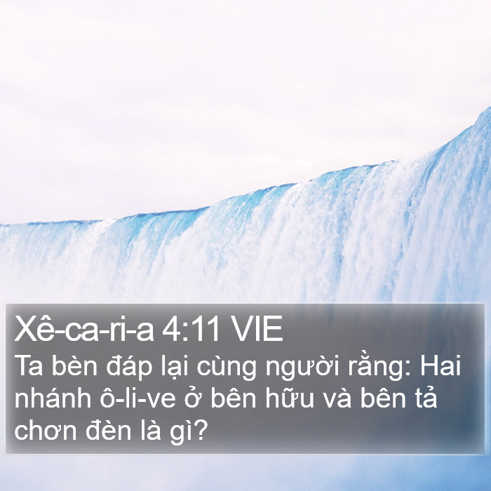 Xê-ca-ri-a 4:11 VIE Bible Study