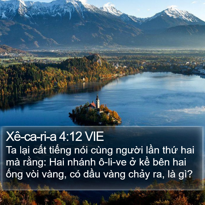 Xê-ca-ri-a 4:12 VIE Bible Study