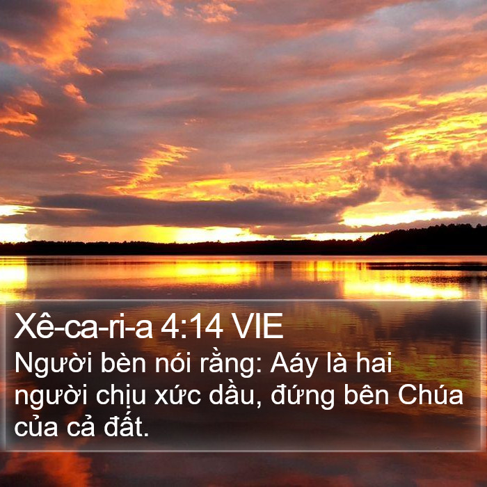 Xê-ca-ri-a 4:14 VIE Bible Study