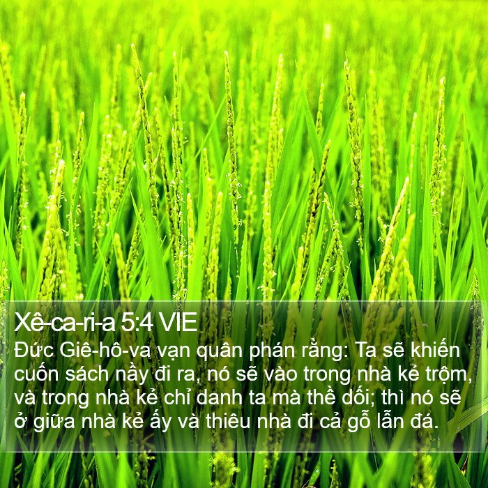 Xê-ca-ri-a 5:4 VIE Bible Study