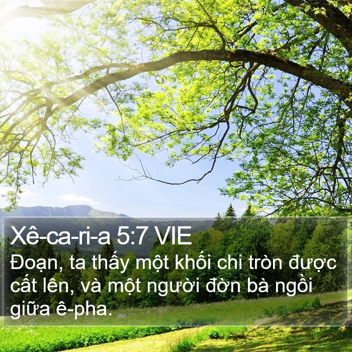 Xê-ca-ri-a 5:7 VIE Bible Study