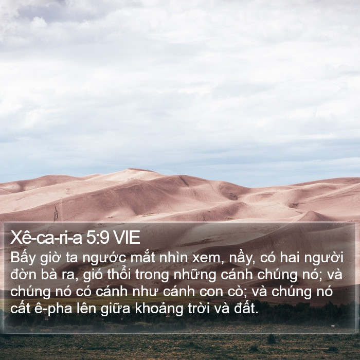 Xê-ca-ri-a 5:9 VIE Bible Study