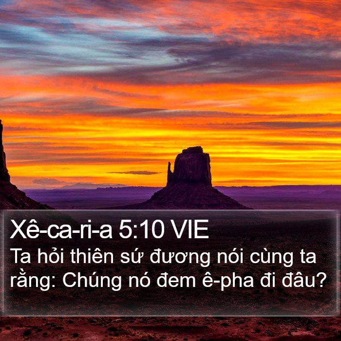 Xê-ca-ri-a 5:10 VIE Bible Study