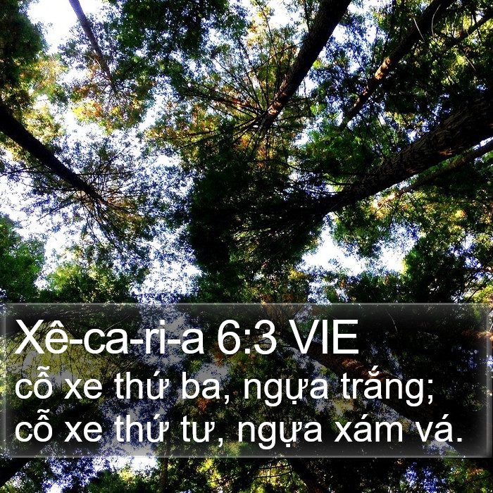 Xê-ca-ri-a 6:3 VIE Bible Study