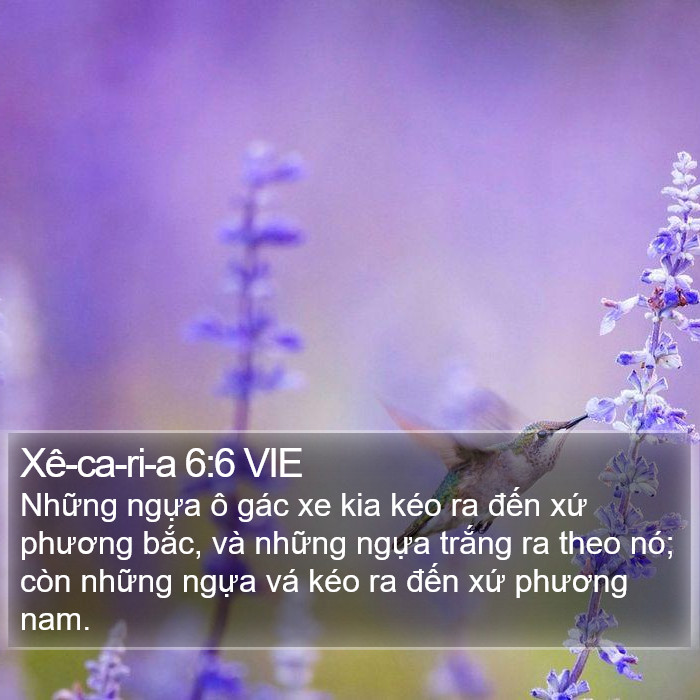 Xê-ca-ri-a 6:6 VIE Bible Study