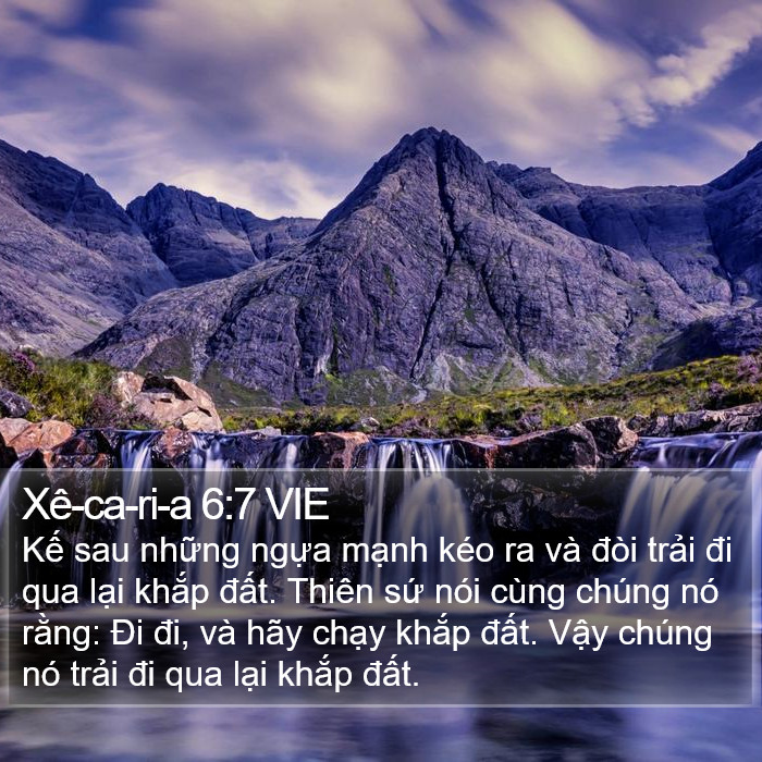 Xê-ca-ri-a 6:7 VIE Bible Study