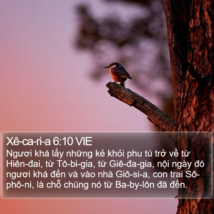 Xê-ca-ri-a 6:10 VIE Bible Study