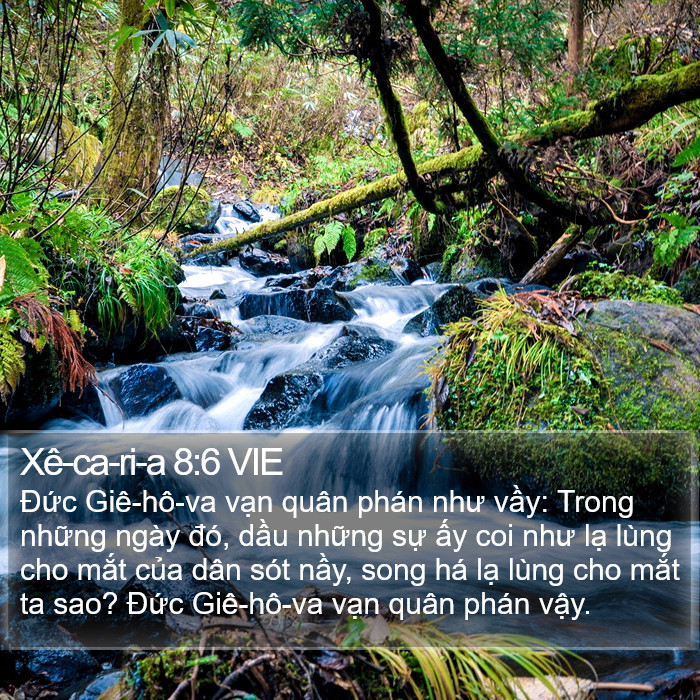 Xê-ca-ri-a 8:6 VIE Bible Study