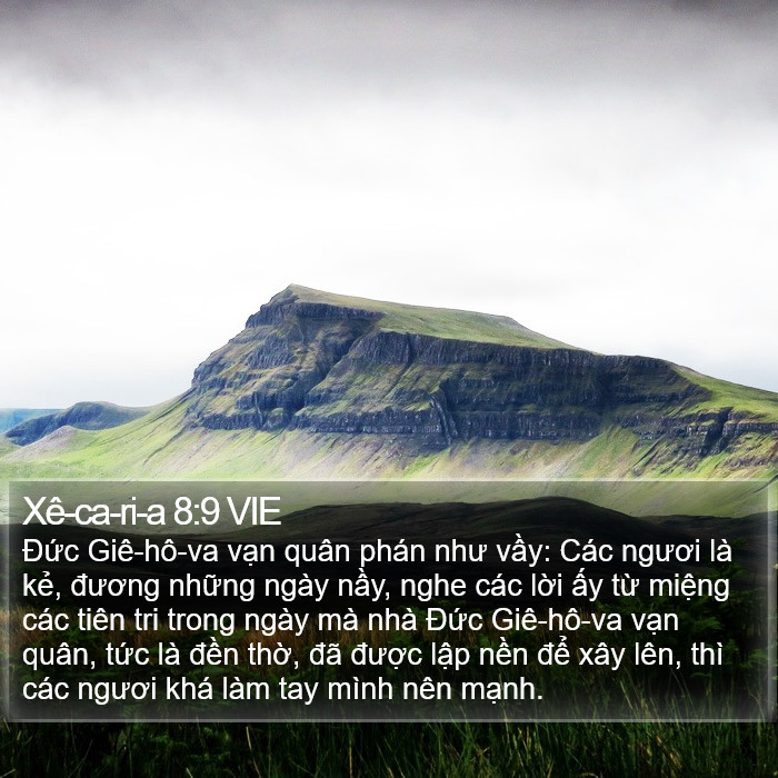 Xê-ca-ri-a 8:9 VIE Bible Study