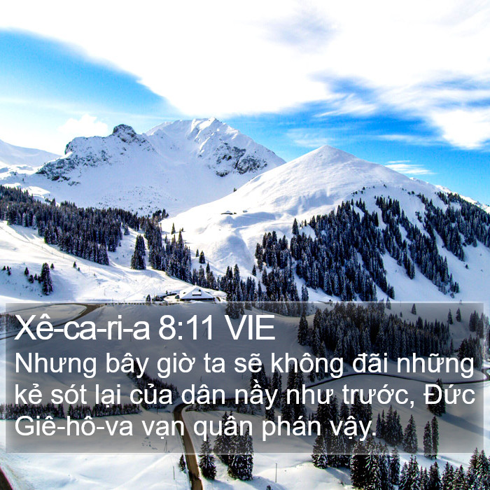 Xê-ca-ri-a 8:11 VIE Bible Study
