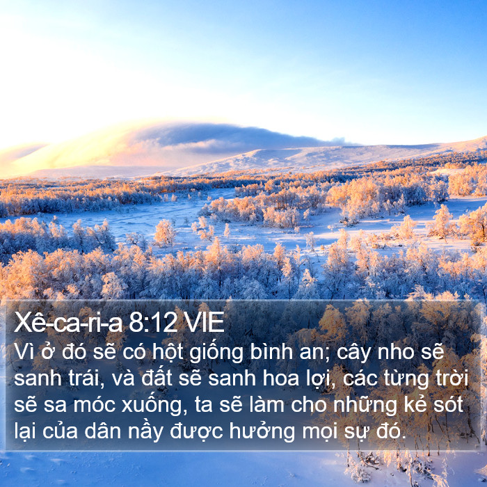 Xê-ca-ri-a 8:12 VIE Bible Study