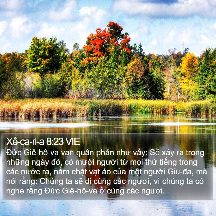 Xê-ca-ri-a 8:23 VIE Bible Study