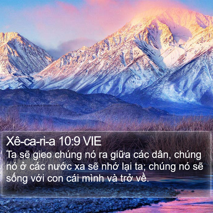 Xê-ca-ri-a 10:9 VIE Bible Study