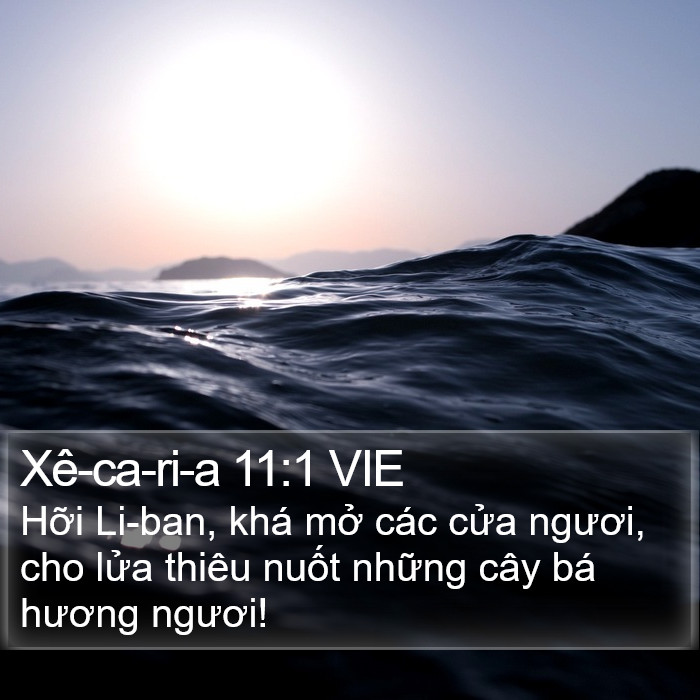 Xê-ca-ri-a 11:1 VIE Bible Study