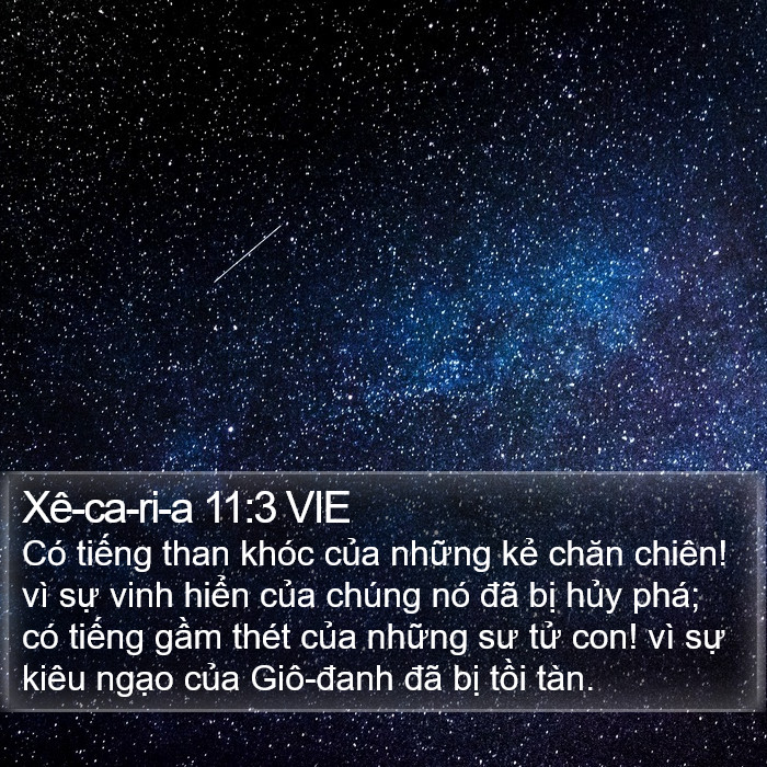 Xê-ca-ri-a 11:3 VIE Bible Study