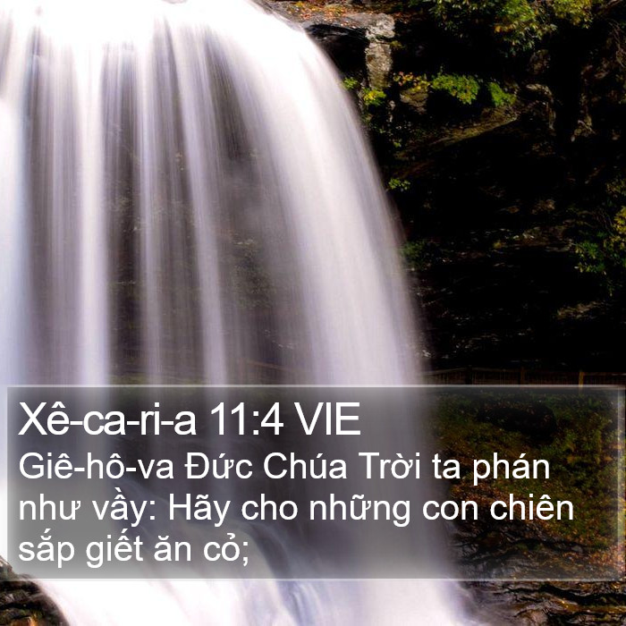 Xê-ca-ri-a 11:4 VIE Bible Study