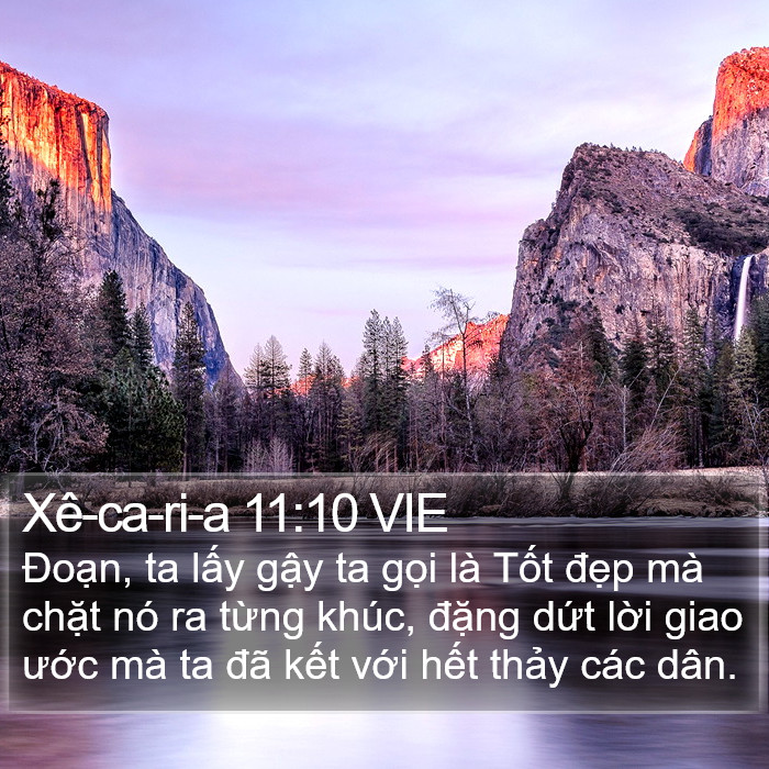 Xê-ca-ri-a 11:10 VIE Bible Study