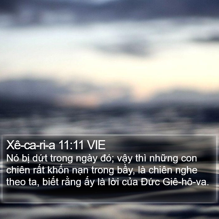 Xê-ca-ri-a 11:11 VIE Bible Study