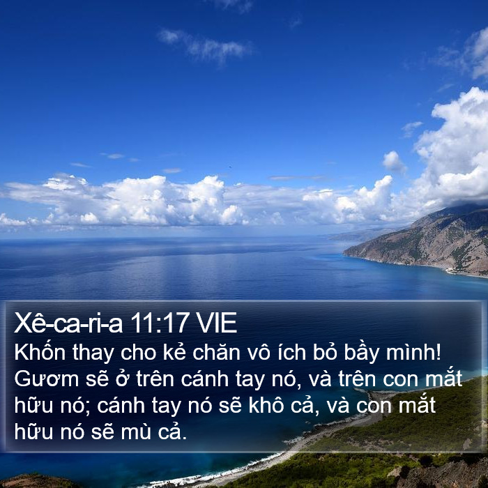 Xê-ca-ri-a 11:17 VIE Bible Study