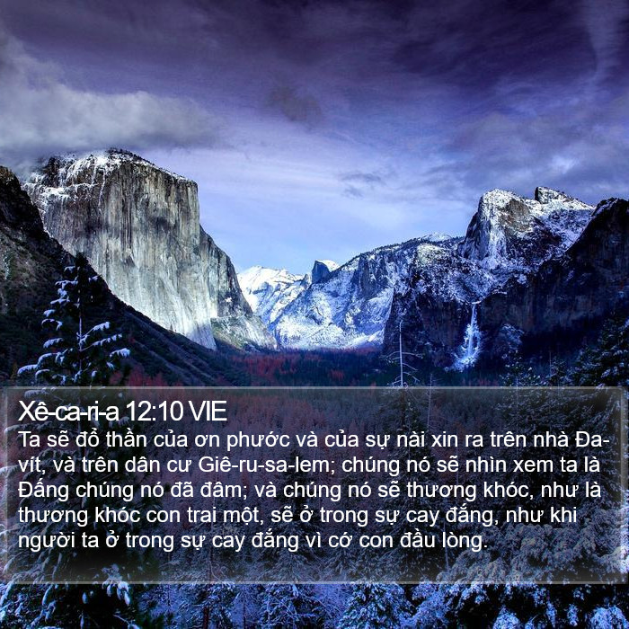 Xê-ca-ri-a 12:10 VIE Bible Study
