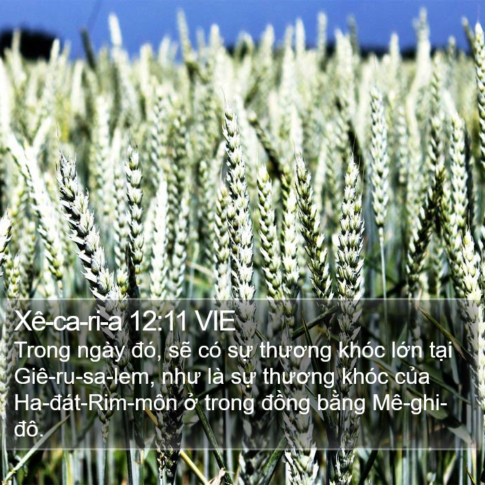 Xê-ca-ri-a 12:11 VIE Bible Study