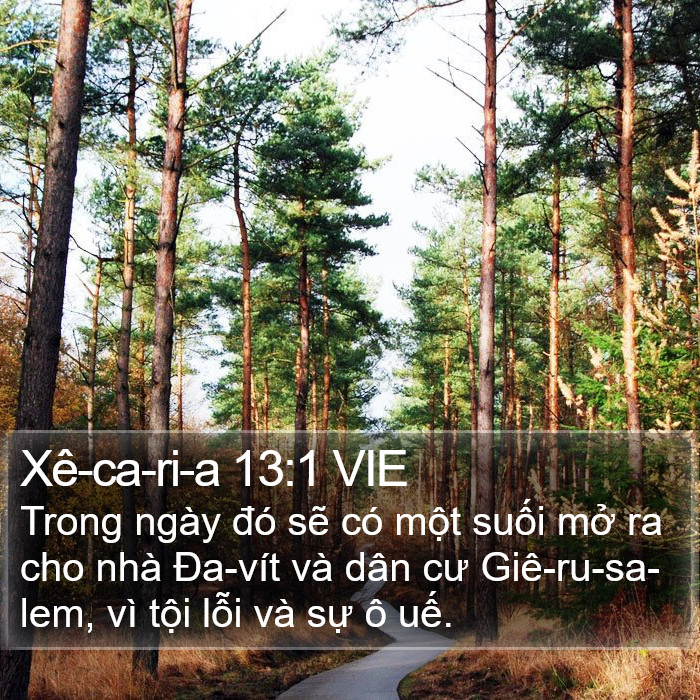 Xê-ca-ri-a 13:1 VIE Bible Study