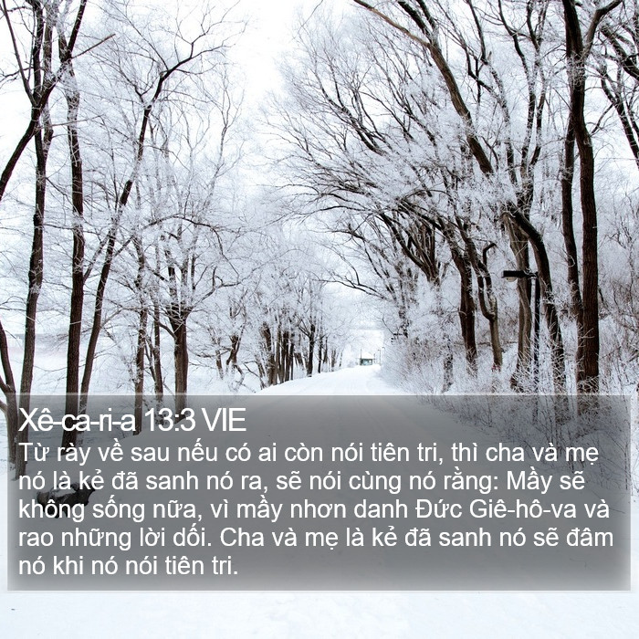 Xê-ca-ri-a 13:3 VIE Bible Study