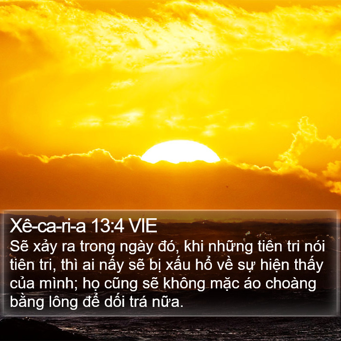 Xê-ca-ri-a 13:4 VIE Bible Study