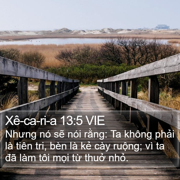 Xê-ca-ri-a 13:5 VIE Bible Study