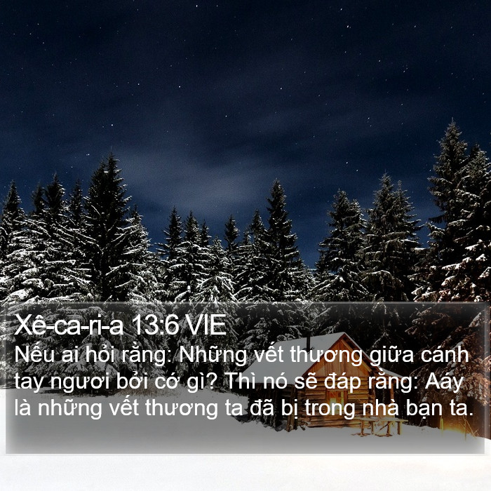 Xê-ca-ri-a 13:6 VIE Bible Study