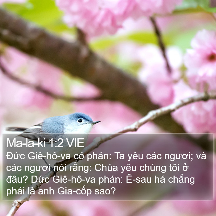 Ma-la-ki 1:2 VIE Bible Study