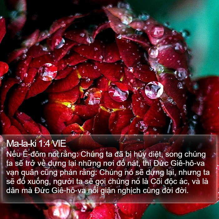 Ma-la-ki 1:4 VIE Bible Study