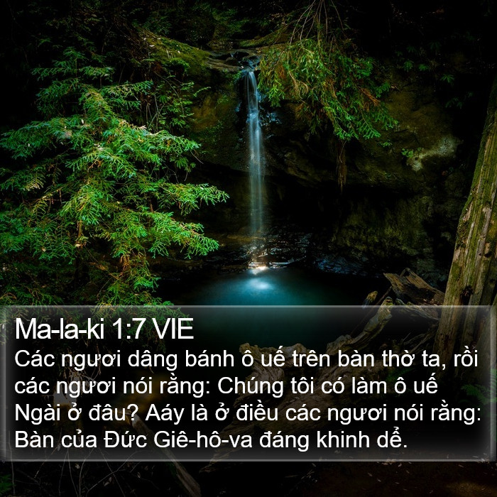 Ma-la-ki 1:7 VIE Bible Study