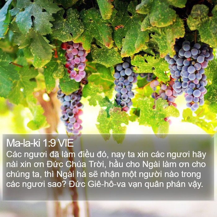 Ma-la-ki 1:9 VIE Bible Study