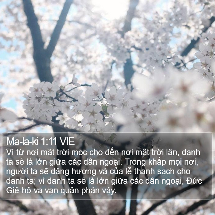 Ma-la-ki 1:11 VIE Bible Study