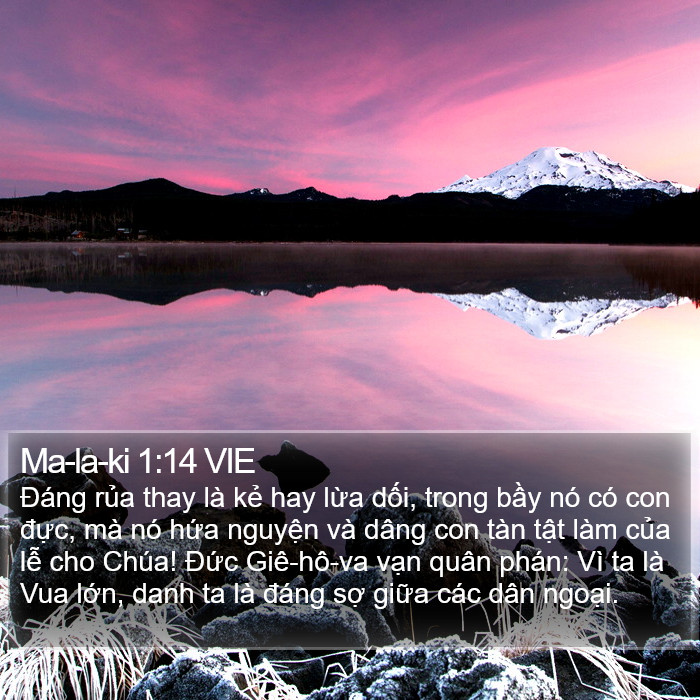 Ma-la-ki 1:14 VIE Bible Study