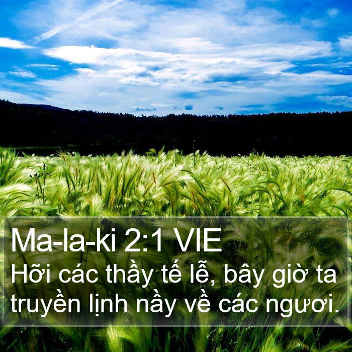 Ma-la-ki 2:1 VIE Bible Study