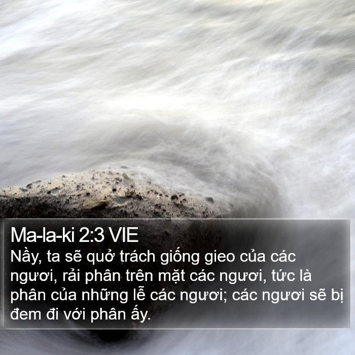 Ma-la-ki 2:3 VIE Bible Study